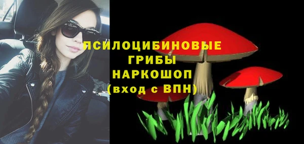 винт Бугульма