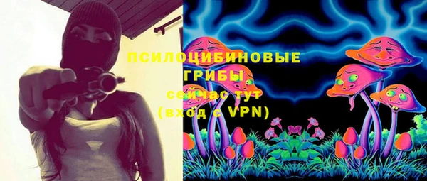 не бодяженный Бородино