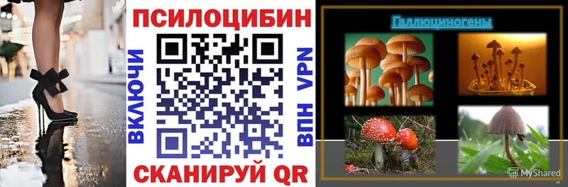 Купить где  Вышний Волочёк  Псилоцибиновые грибы мицелий 